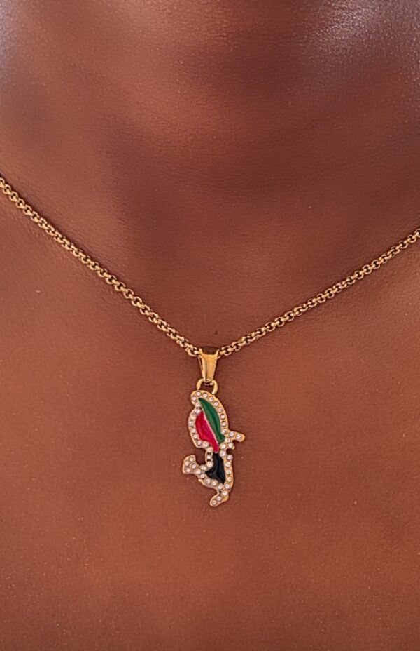 collier carte Martinique Strassé