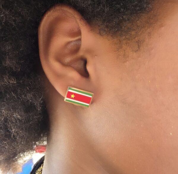 Boucles moyenne drapeau de la Guadeloupe rectangle