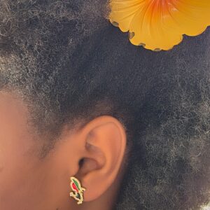 Boucles d’oreilles carte de la Martinique RVN Strassées